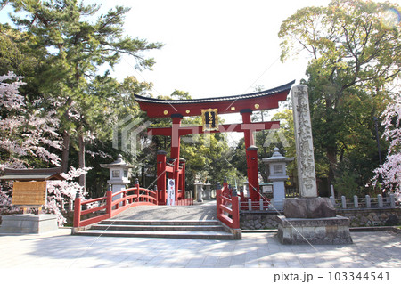 氣比神宮　気比神宮　けひじんぐう　敦賀市　敦賀　福井県　 官幣大社　桜　春　大鳥居　　 103344541