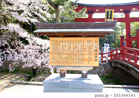 氣比神宮　気比神宮　けひじんぐう　敦賀市　敦賀　福井県　 官幣大社　桜　春　大鳥居　　 103344543