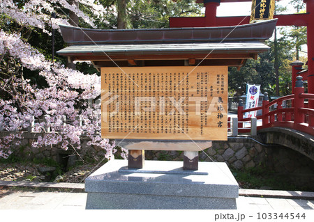 氣比神宮 気比神宮 けひじんぐう 敦賀市 敦賀 福井県 官幣大社 桜 春 大鳥居 氣比神宮 気比神宮 けひじんぐう 敦賀市 敦賀 福井県 官幣大社 桜 春 大鳥居 103344544