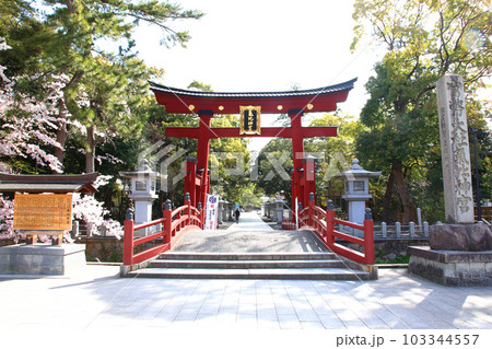 氣比神宮　気比神宮　けひじんぐう　敦賀市　敦賀　福井県　 官幣大社　桜　春　大鳥居　　 103344557