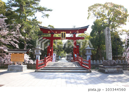 氣比神宮　気比神宮　けひじんぐう　敦賀市　敦賀　福井県　 官幣大社　桜　春　大鳥居　　 103344560