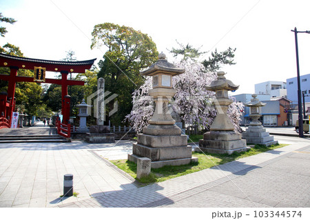 氣比神宮　気比神宮　けひじんぐう　敦賀市　敦賀　福井県　 官幣大社　桜　春　大鳥居　　 103344574