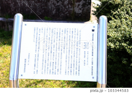 氣比神宮　気比神宮　けひじんぐう　敦賀市　敦賀　福井県　 官幣大社　桜　春　大鳥居　　 103344583