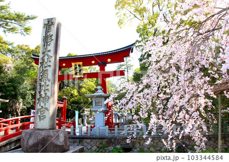 氣比神宮 気比神宮 けひじんぐう 敦賀市 敦賀 福井県 官幣大社 桜 春 大鳥居 氣比神宮 気比神宮 けひじんぐう 敦賀市 敦賀 福井県 官幣大社 桜 春 大鳥居 103344584