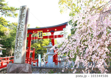 氣比神宮　気比神宮　けひじんぐう　敦賀市　敦賀　福井県　 官幣大社　桜　春　大鳥居　　 103344586
