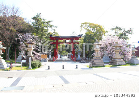 氣比神宮　気比神宮　けひじんぐう　敦賀市　敦賀　福井県　 官幣大社　桜　春　大鳥居　　 103344592