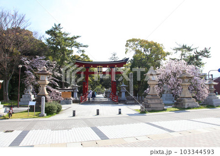 氣比神宮 気比神宮 けひじんぐう 敦賀市 敦賀 福井県 官幣大社 桜 春 大鳥居 氣比神宮 気比神宮 けひじんぐう 敦賀市 敦賀 福井県 官幣大社 桜 春 大鳥居 103344593