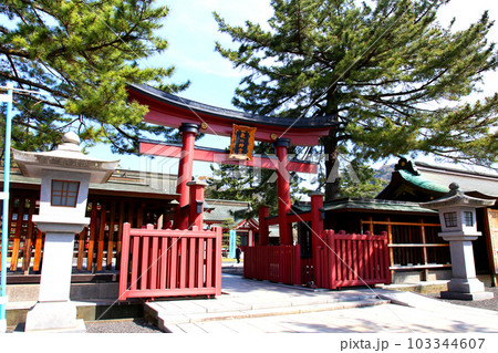 氣比神宮　気比神宮　けひじんぐう　敦賀市　敦賀　福井県　 官幣大社　桜　春　大鳥居　　 103344607