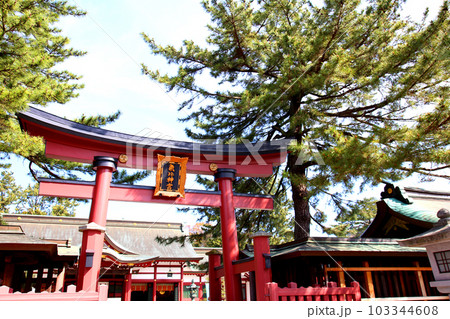 氣比神宮 気比神宮 けひじんぐう 敦賀市 敦賀 福井県 官幣大社 桜 春 大鳥居 氣比神宮 気比神宮 けひじんぐう 敦賀市 敦賀 福井県 官幣大社 桜 春 大鳥居 103344608