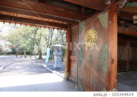 氣比神宮　気比神宮　けひじんぐう　敦賀市　敦賀　福井県　 官幣大社　桜　春　大鳥居　　 103344614