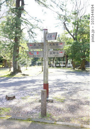 氣比神宮 気比神宮 けひじんぐう 敦賀市 敦賀 福井県 官幣大社 桜 春 大鳥居 氣比神宮 気比神宮 けひじんぐう 敦賀市 敦賀 福井県 官幣大社 桜 春 大鳥居 103344694