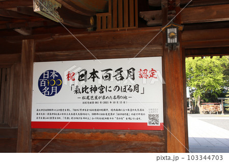 氣比神宮　気比神宮　けひじんぐう　敦賀市　敦賀　福井県　 官幣大社　桜　春　大鳥居　 103344703
