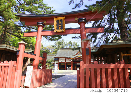 氣比神宮　気比神宮　けひじんぐう　敦賀市　敦賀　福井県　 官幣大社　桜　春　大鳥居　 103344716