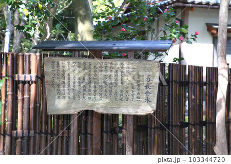 氣比神宮　気比神宮　けひじんぐう　敦賀市　敦賀　福井県　 官幣大社　桜　春　大鳥居　 103344720