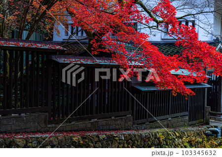 【新潟県・佐渡金山】鉱山周辺の紅葉　11月  103345632