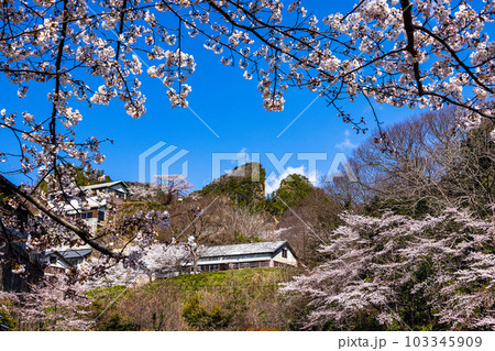【新潟県・佐渡金山】桜と道遊の割戸 4月 【新潟県・佐渡金山】桜と道遊の割戸 4月 103345909