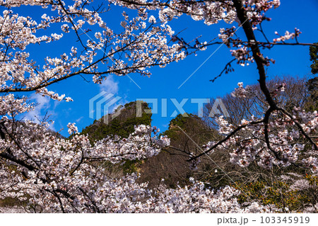 【新潟県・佐渡金山】桜と道遊の割戸 4月 【新潟県・佐渡金山】桜と道遊の割戸 4月 103345919