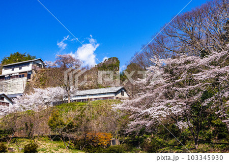 【新潟県・佐渡金山】桜と道遊の割戸 4月 【新潟県・佐渡金山】桜と道遊の割戸 4月 103345930