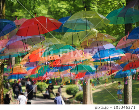 アンブレラスカイ　甘楽総合公園（かんらDEアンブレラスカイ） 103346271