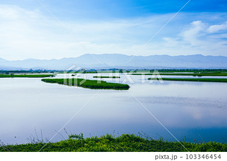 春の朝、晴れ渡った福島潟の水辺(新潟県新潟市) 春の朝、晴れ渡った福島潟の水辺(新潟県新潟市) 103346454