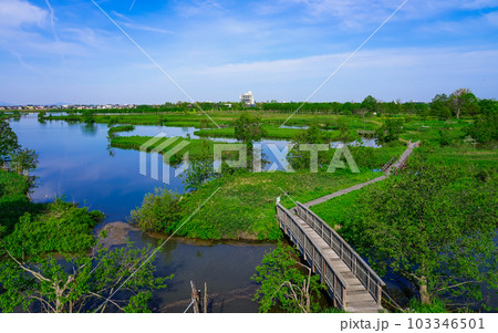 春の朝、晴れ渡った福島潟の水辺（新潟県新潟市） 103346501