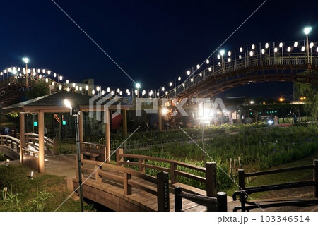 水郷潮来あやめ園光のファンタジー　あやめ祭り土曜日の夜の風景（ライトアップ） 103346514