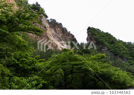 【新潟県・佐渡金山】若葉の鉱山周辺 5月 【新潟県・佐渡金山】若葉の鉱山周辺 5月 103346562