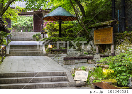 【新潟県・佐渡金山】若葉の鉱山周辺 5月 【新潟県・佐渡金山】若葉の鉱山周辺 5月 103346581