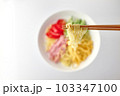 冷やし中華 103347100