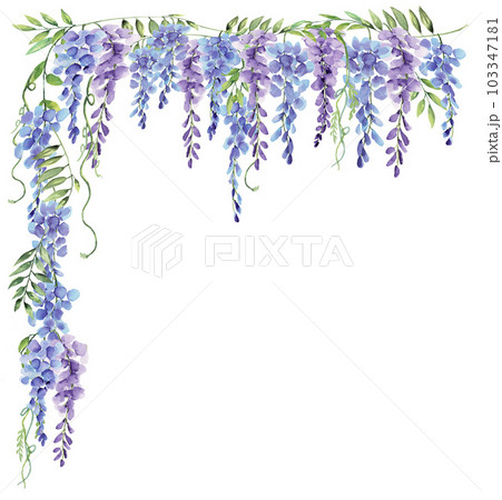 Wisteria blue and purple flower watercolor frame border element isolated on white background 103347181