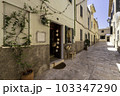Street in the old town of Mallorca, Alcudia 103347290