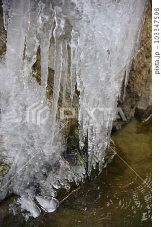 つらら つらら 103347598