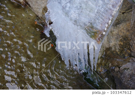 つらら つらら 103347612