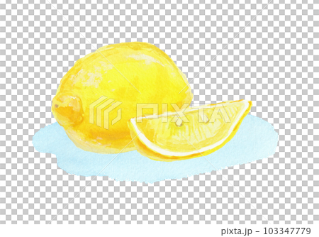 Realistic lemon illustration painted with watercolors 103347779