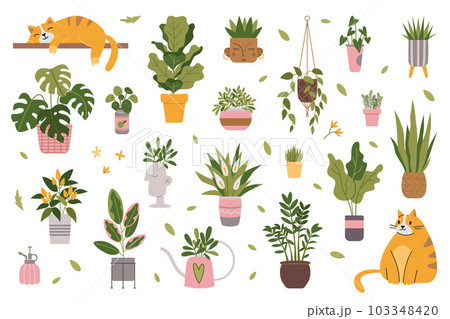 Set with trendy potted plants, cartoon style. Indoor houseplants for interior and cute cat. Urban Cozy home gardening hobby. Modern isolated vector illustration, hand drawn, flat 103348420