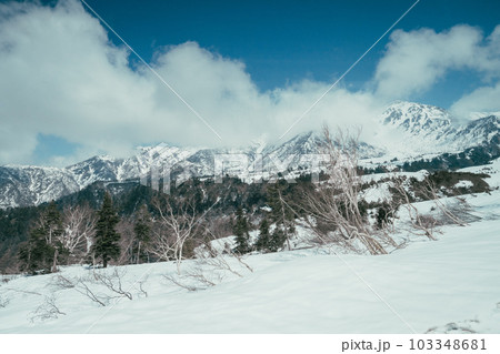 雪解けの季節の中部山岳国立公園立山連峰 103348681