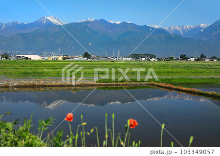信州安曇野の田園風景 103349057