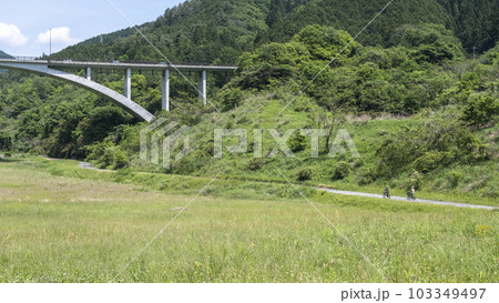 湖畔の新緑・初夏イメージ(奥津湖周辺) 湖畔の新緑・初夏イメージ(奥津湖周辺) 103349497
