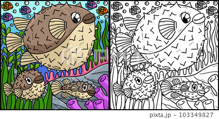 Mother Pufferfish and Baby Pufferfish Illustration Mother Pufferfish and Baby Pufferfish Illustration 103349827