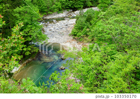 太良峡藤琴川　太良橋からの眺め　藤里町 103350170