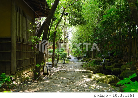 日本庭園の石畳と緑 日本庭園の石畳と緑 103351361