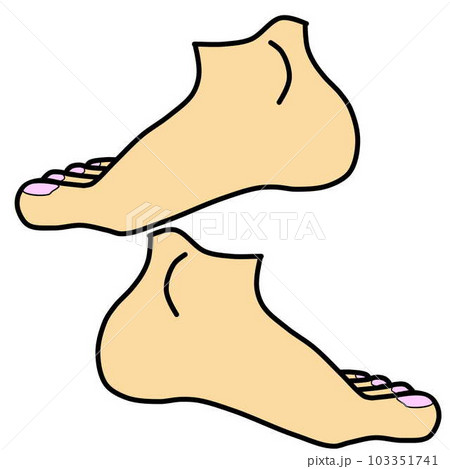 両足のイラスト 103351741