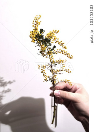 花を持つ女性 103352182
