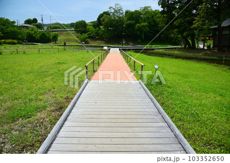 新緑の厳島湿生公園 新緑の厳島湿生公園 103352650