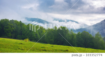 rural landscape with grassy pasture. green meadow on a hill in front of a beech forest in spring. fog in the distant valley. cloudy sky above the mountains rural landscape with grassy pasture. green meadow on a hill in front of a beech forest in spring. fog in the distant valley. cloudy sky above the mountains 103352774