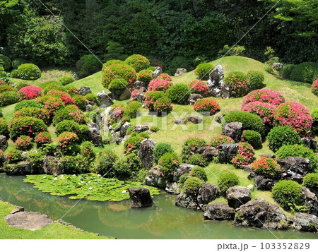 静岡県 遠州の古刹 龍潭寺 サツキ咲く5月 静岡県 遠州の古刹 龍潭寺 サツキ咲く5月 103352829