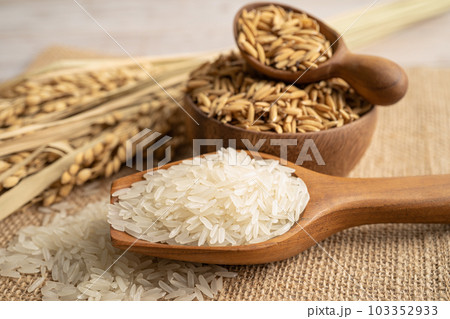 Jasmine white rice with gold grain from agriculture farm. Jasmine white rice with gold grain from agriculture farm. 103352933