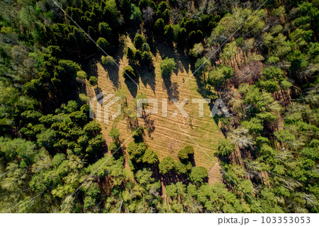 A glade in a mixed forest from a height, aerial view A glade in a mixed forest from a height, aerial view 103353053