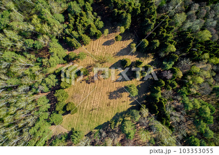 A glade in a mixed forest from a height, aerial view A glade in a mixed forest from a height, aerial view 103353055