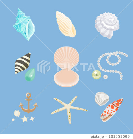 貝殻&海セット 103353099